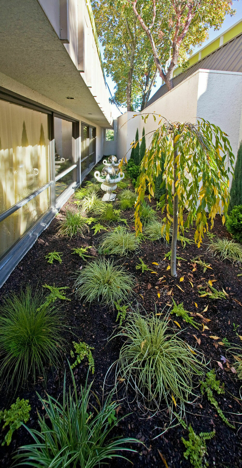 Inn At The Commons Medford Exterior foto